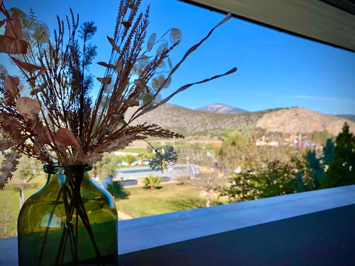 Villa Hylas Luxury Bed & Breakfast Kilada Extérieur photo